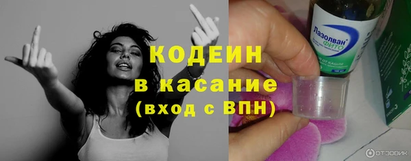 ECSTASY Алзамай
