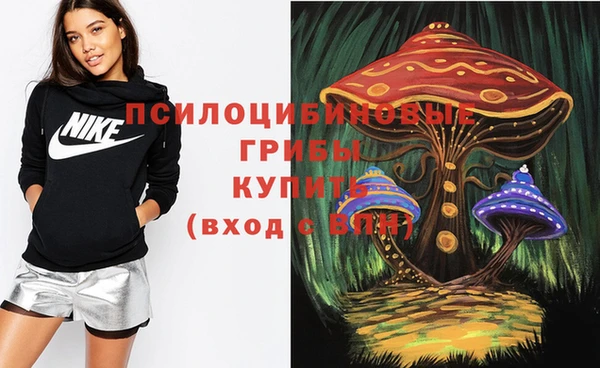ECSTASY Алзамай