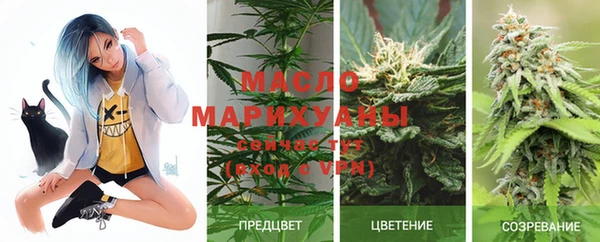 тгк Алексин